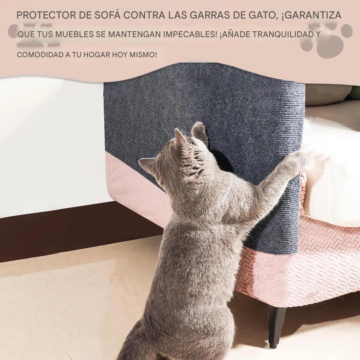 Alfombra Resistente A Los Aranazos