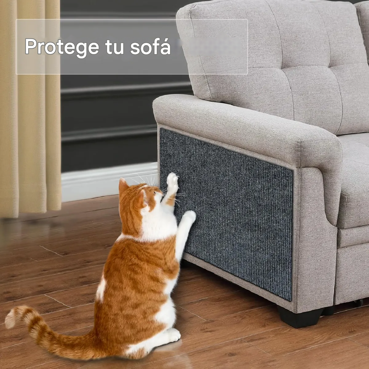 Alfombra Resistente A Los Aranazos